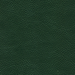 504 тёмно-зеленый