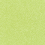 19 фисташковый