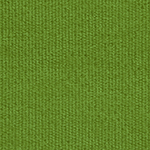 76 папоротник