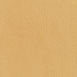 13 тёмно-бежевый