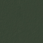 12 тёмно-зелёный