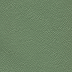 560 фисташковый